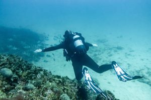 A scuba diver underwater