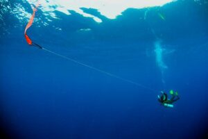 drift diving