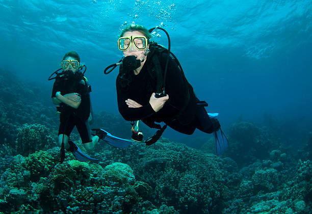 scuba divers