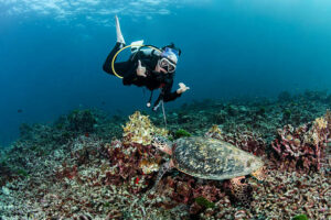 A scuba diver