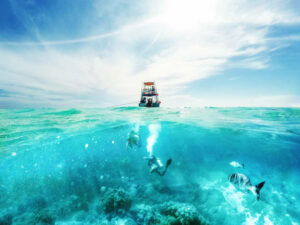 How to Book a Safe Liveaboard Trip
