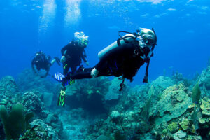 3 Simple Ways to Begin Scuba Diving
