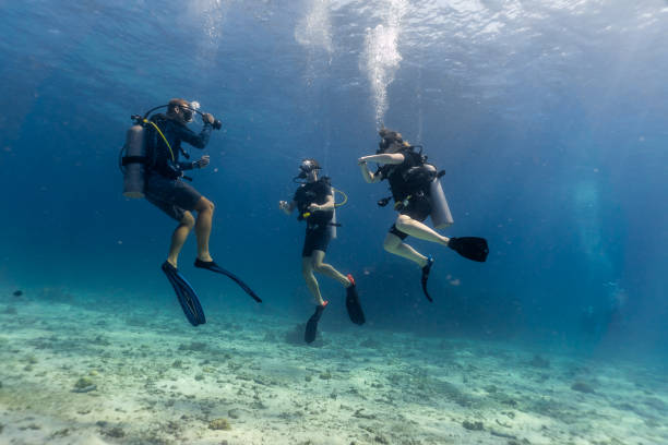 5 PADI Specialties After Open Water