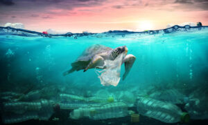 Plastic pollution