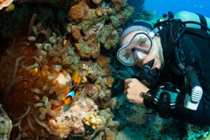 a scuba diver underwater
