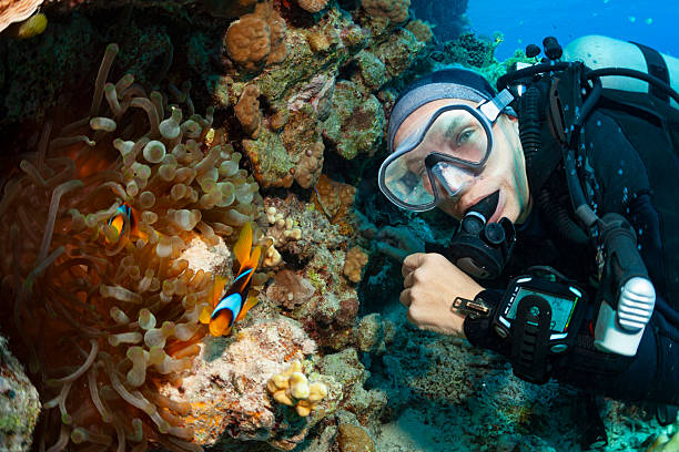 a scuba diver underwater