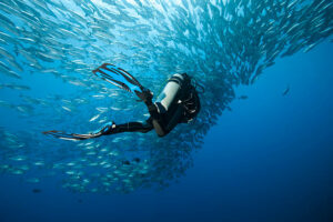 10 types of people who should learn to dive
