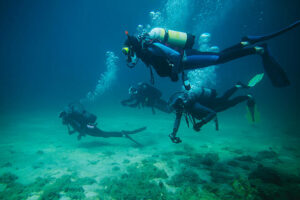 Becoming Your Diver Guide’s Top Pick