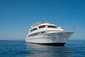 a liveaboard trip