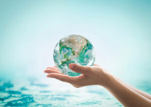 How to start your own ocean conservation project