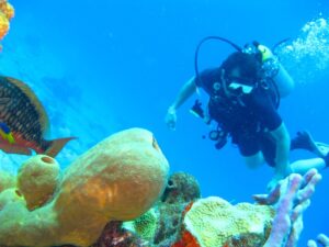Red Sea Diving Egypt