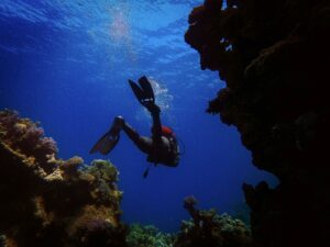 Scuba diving in the Red Sea