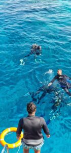 Red Sea Diving