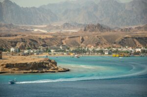 the Red sea