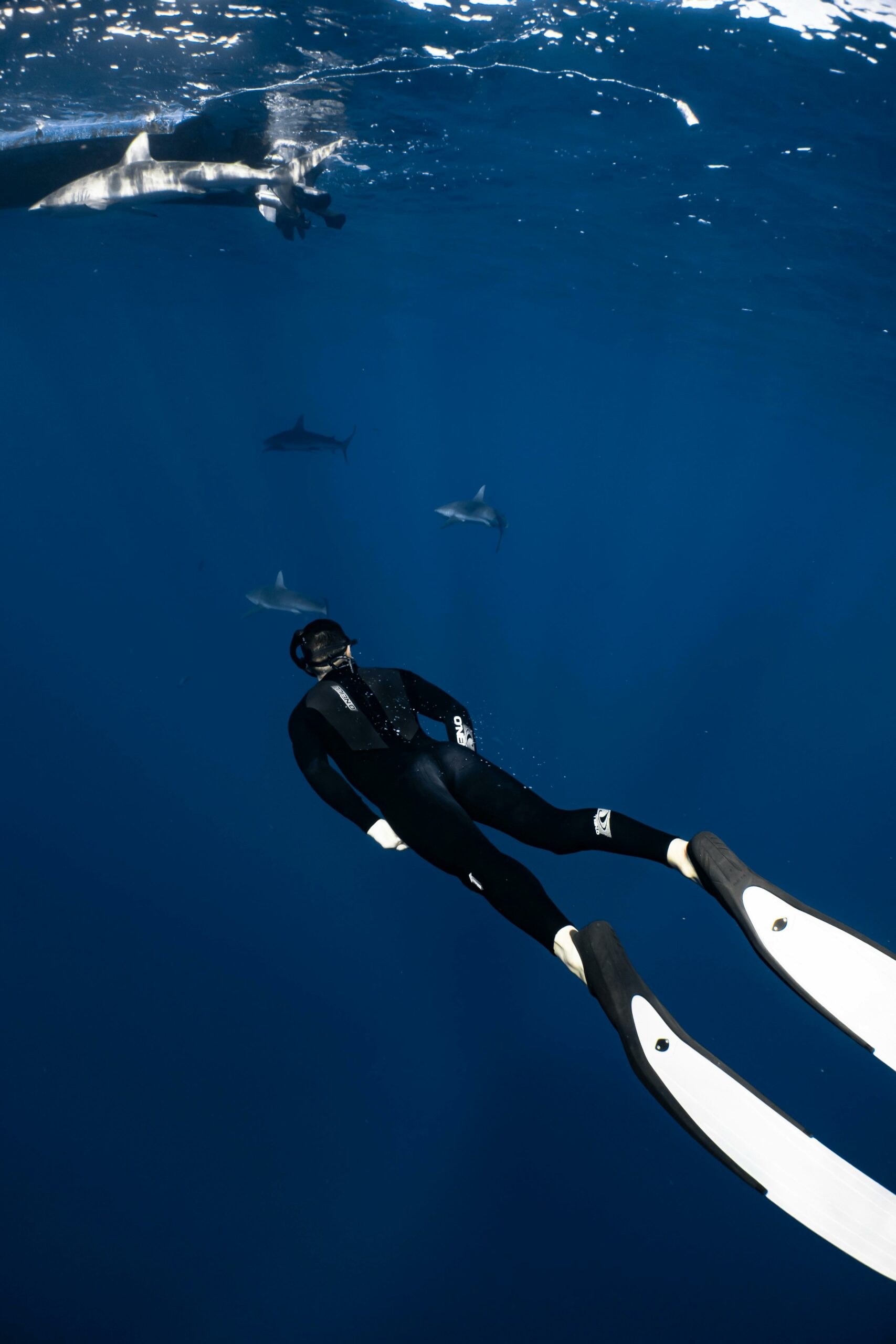 Deep diving in Hurghada