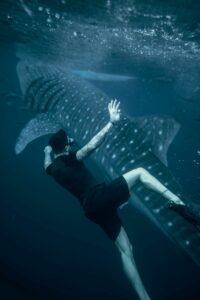 Scuba diving with tiger shark