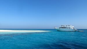 Best Red Sea Diving Resorts