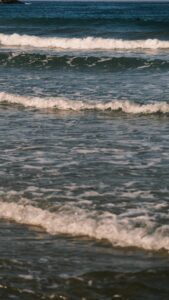 Waves and currents