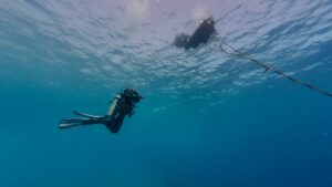 Drift diving in Hurghada